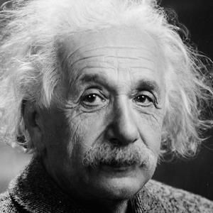 Meet your Posher, Albert